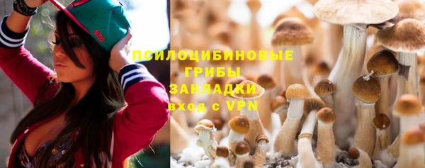 спиды Заводоуковск