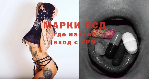 спиды Заводоуковск
